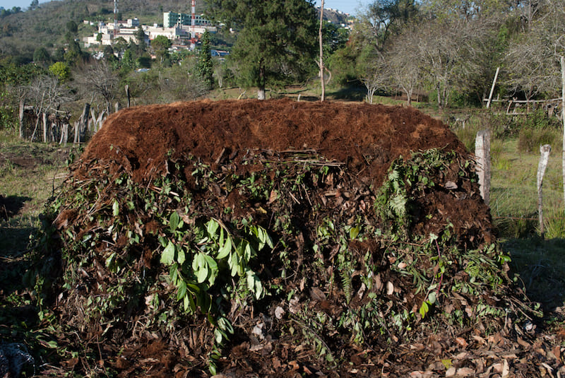 biodynamic compost, a harmonious fusion of science and spirituality