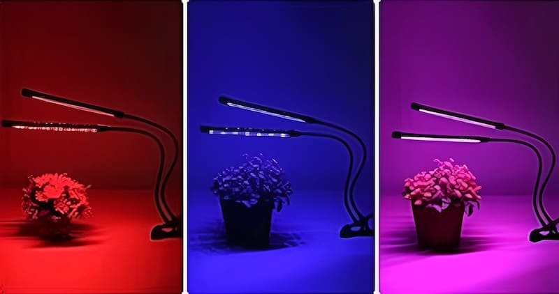 blue and red light, both part of the photosynthetically active radiation spectrum, play pivotal roles in the life cycle of plants especially in grow light applications